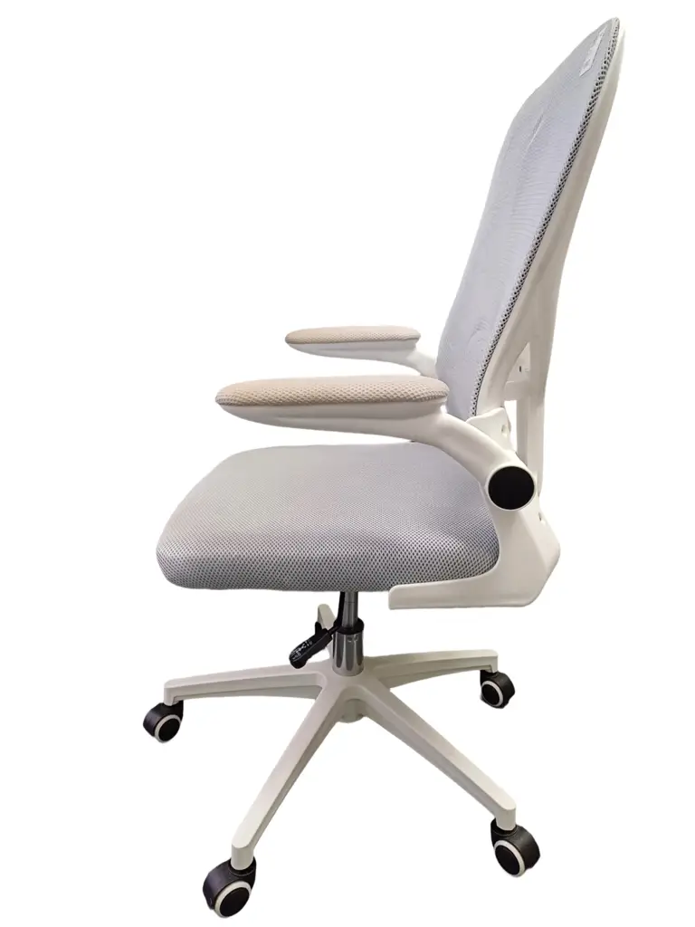 Ergopro Office Chair - View 2