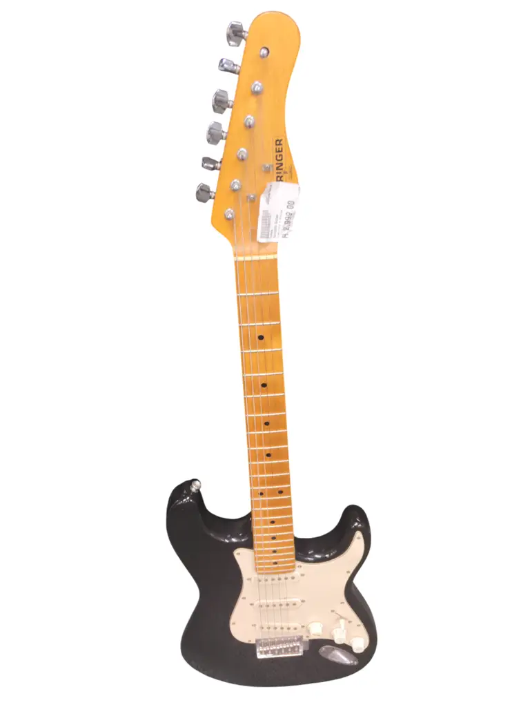 Pehringer 5-String Acoustic Guitar - View 2
