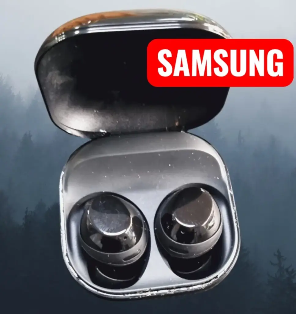 Samsung R410 Earbuds