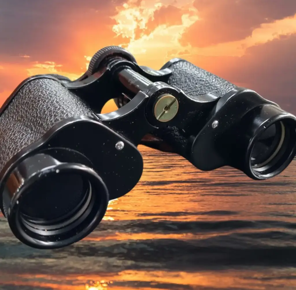 Nippon 8X30 Binoculars