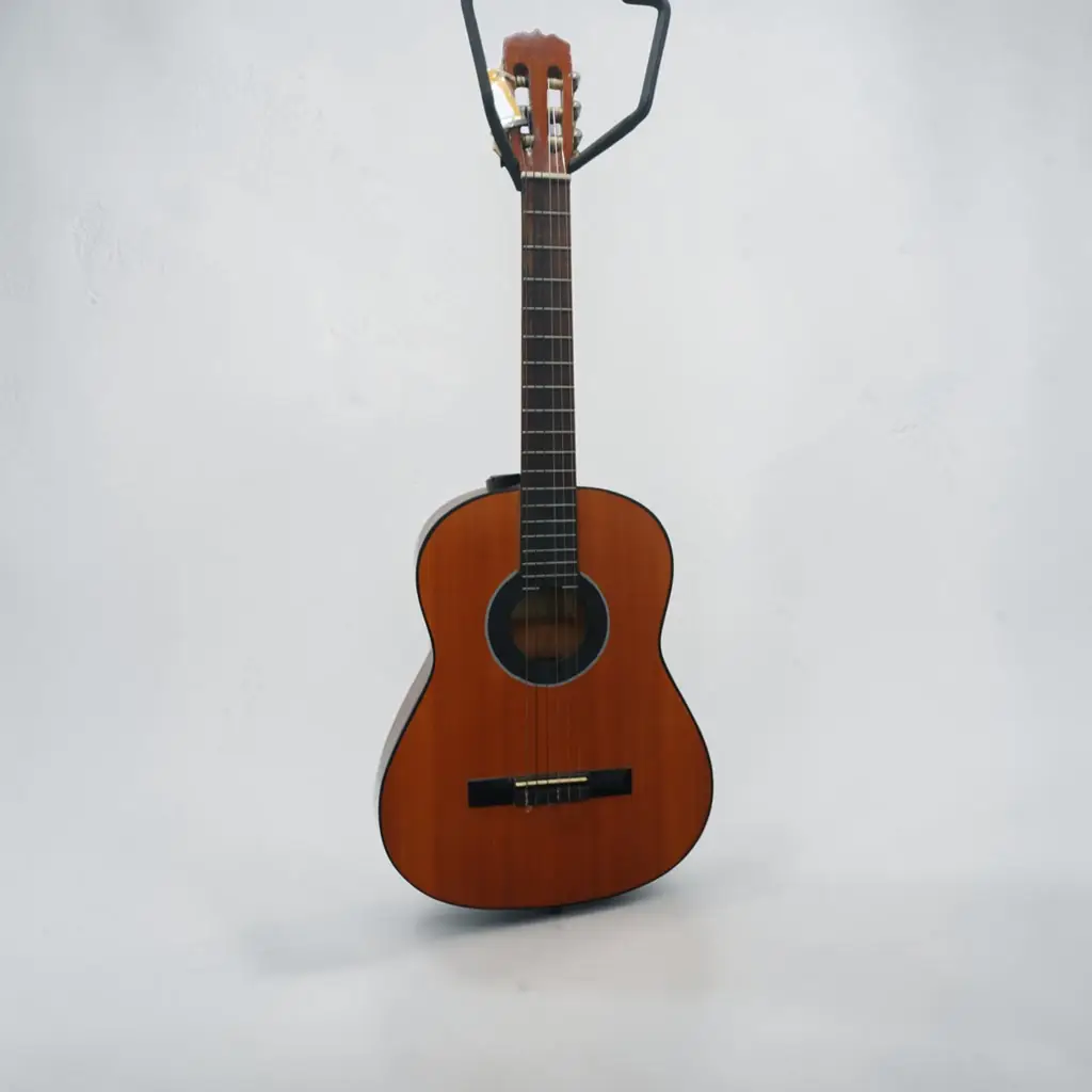 Bamko 313 Guiter