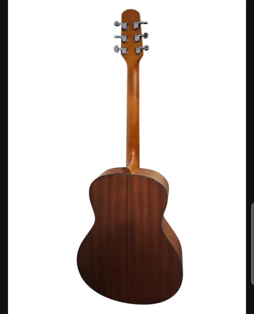 Walden G570 Acoustic Guitar - View 2