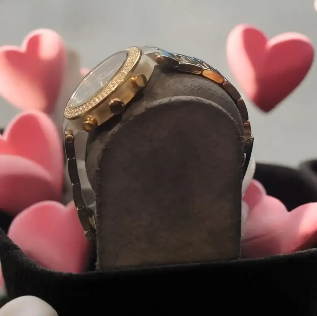 Bigotti Millon Ladies Watch - View 2