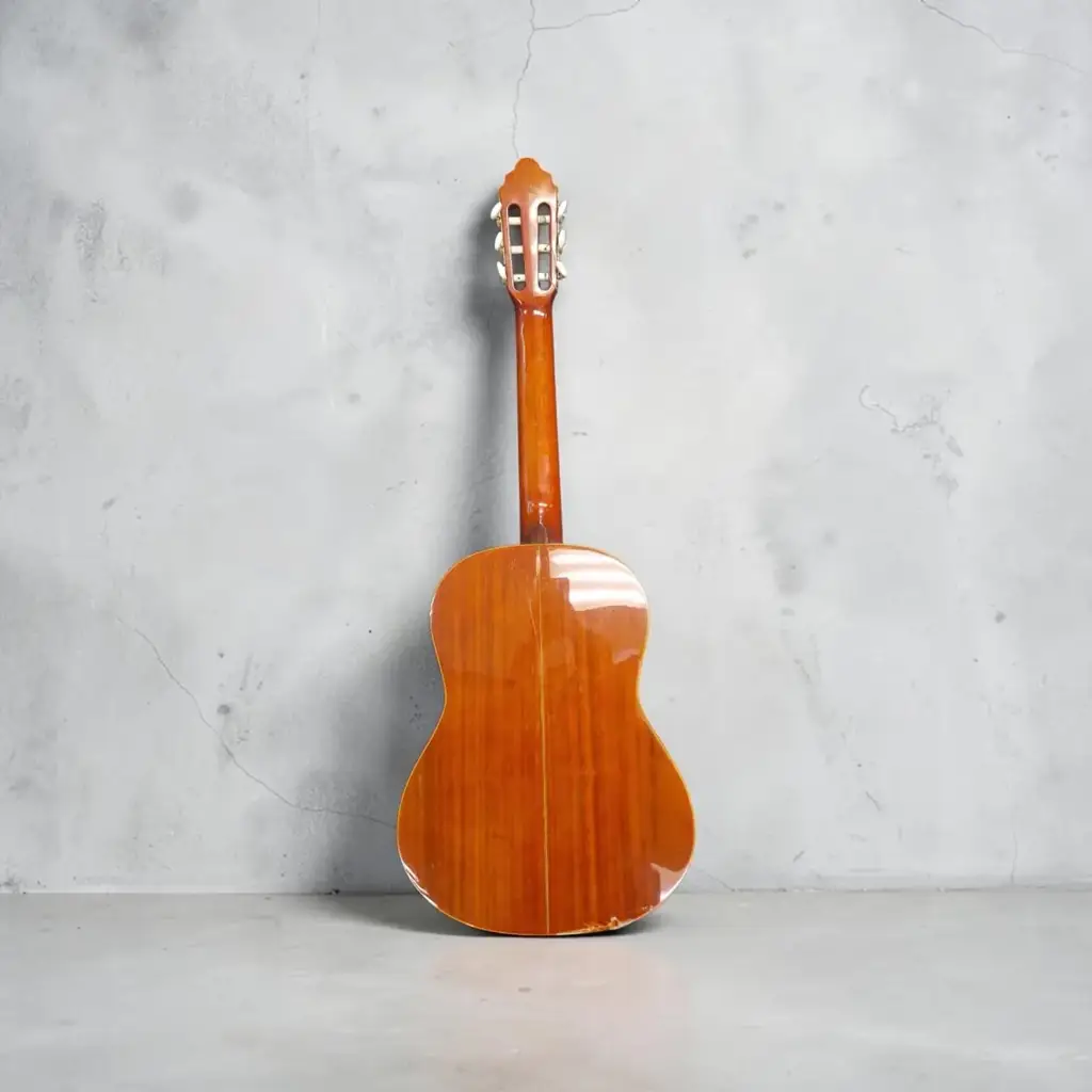 Valencia Cg190 Acoustic Guitar (Collect In Store)