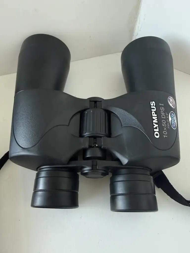 Olympus 10X50 Dps I Binocular - View 3