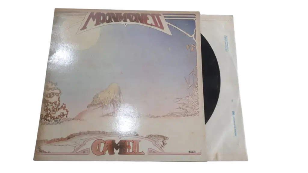 Camel Moodmadness