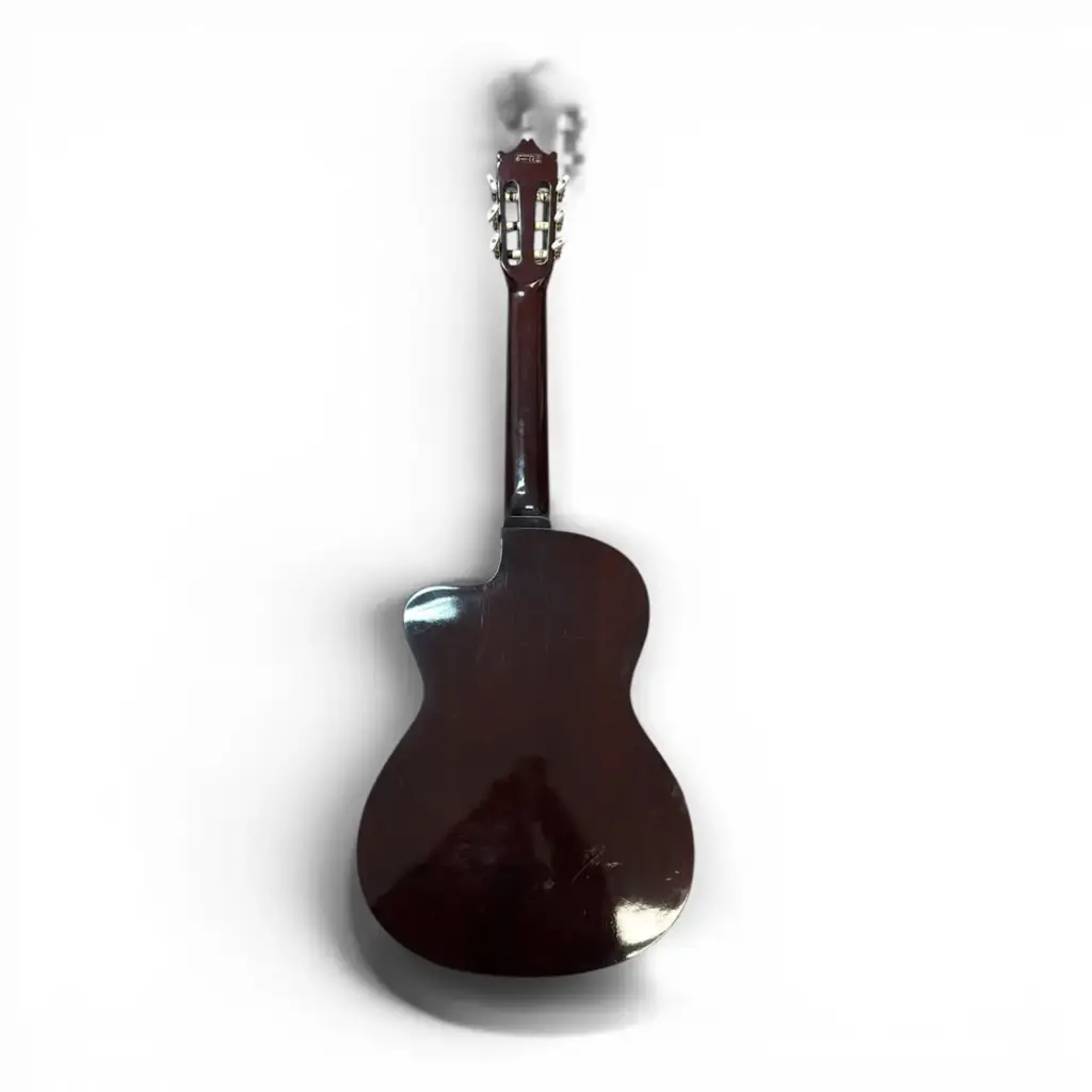 Salvador Ibanez G5ece-Am-2Y-02 Electro-Acoustic Classical Guitar - View 2