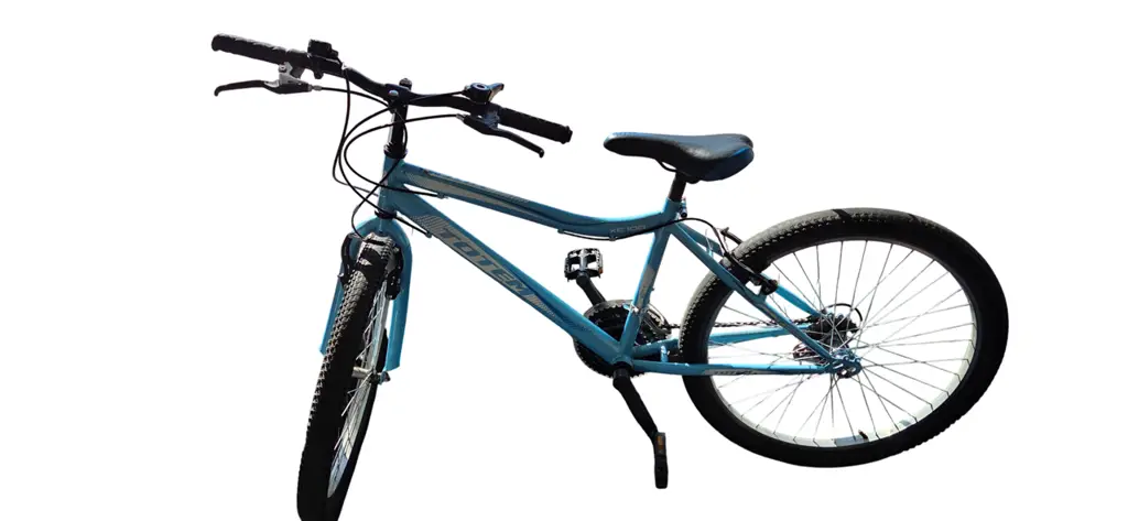 Totem Xc100 Mountain Bike (Ladies)