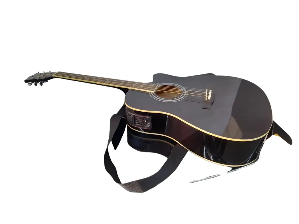 Sanchez Acoustic Guitar - View 2