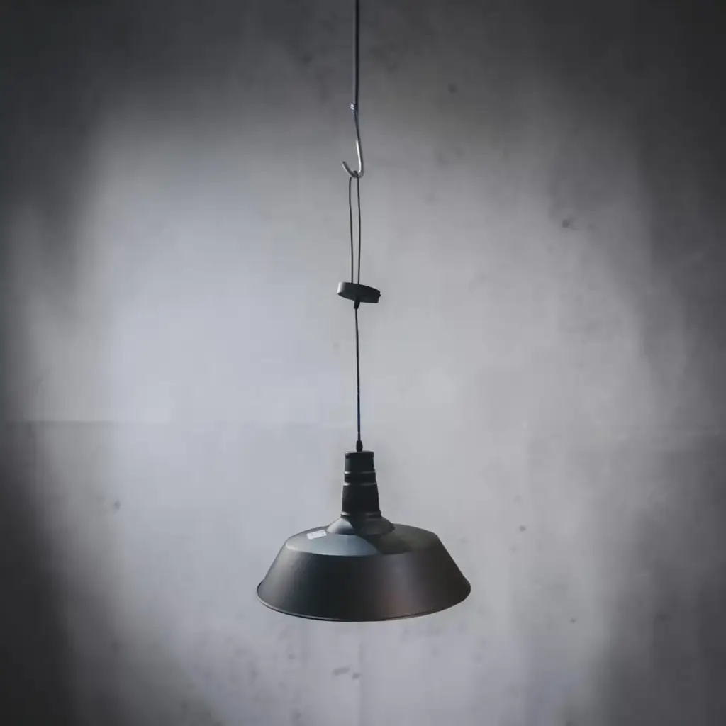 Light Big Ceiling Light