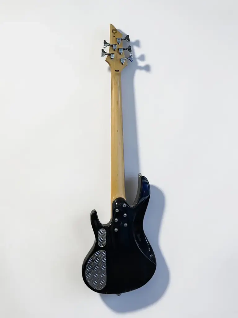 Esp Ltd B-55 5-String Electric Bass Guitar – Black - View 2