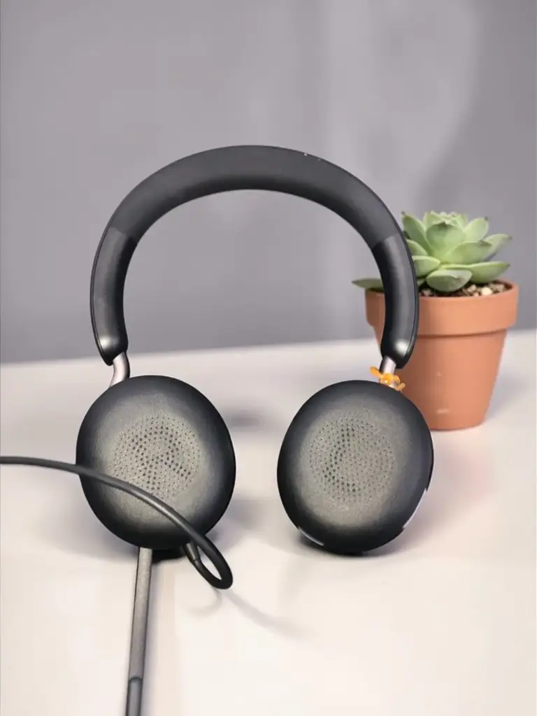 Jabra Gn- Evolve 2