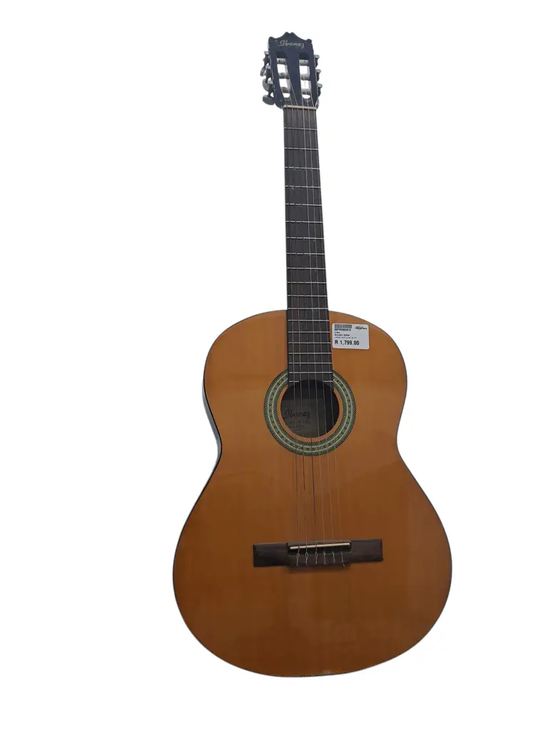 Ibanez Acoustic Guitar