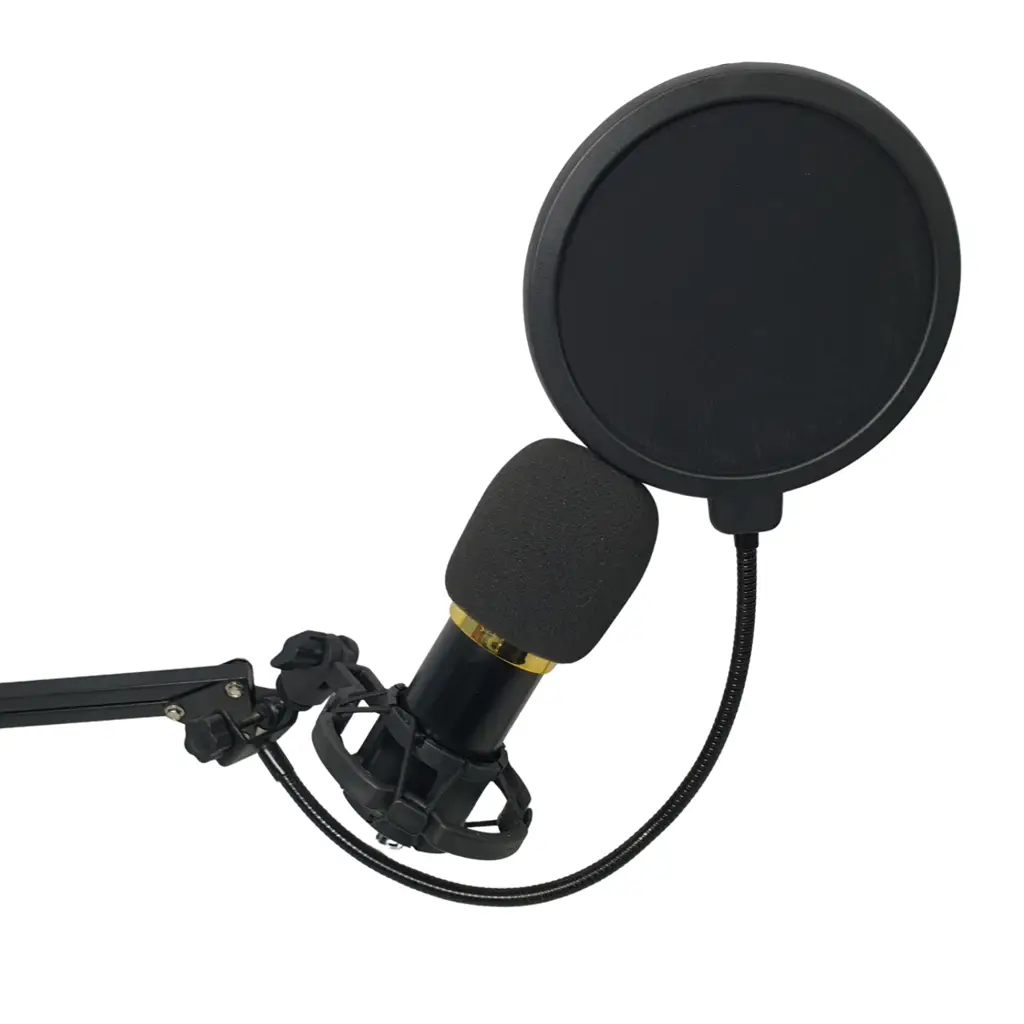 Ohm Condenser Microphone