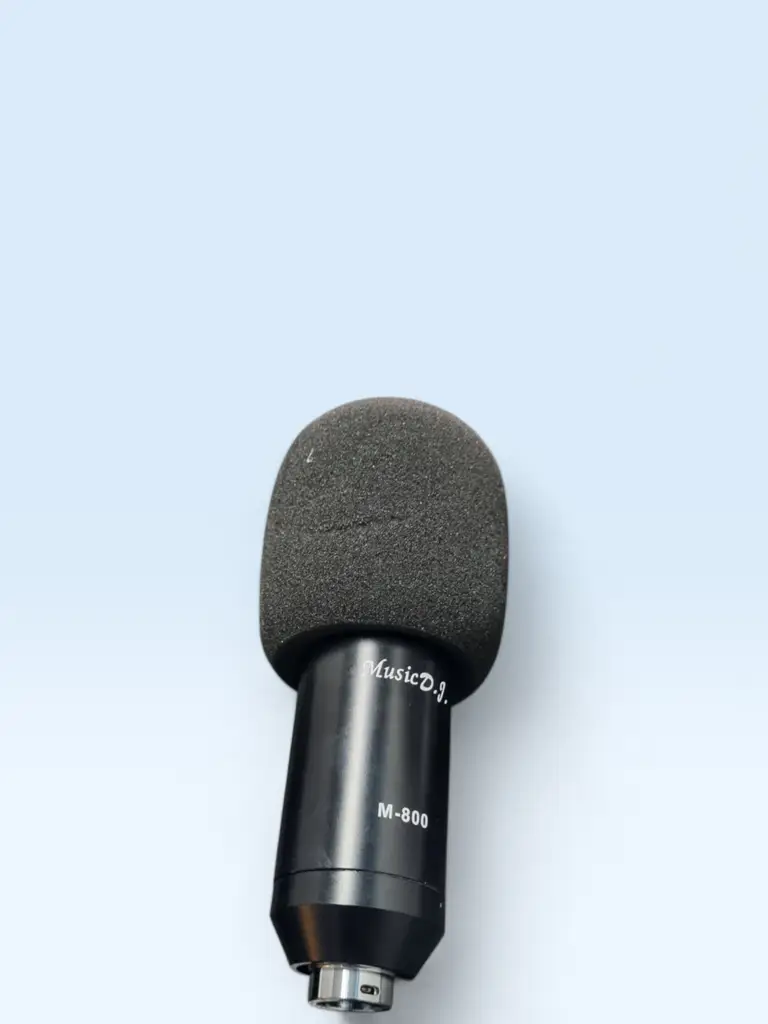 Microphone M‑800 Computer Microphone