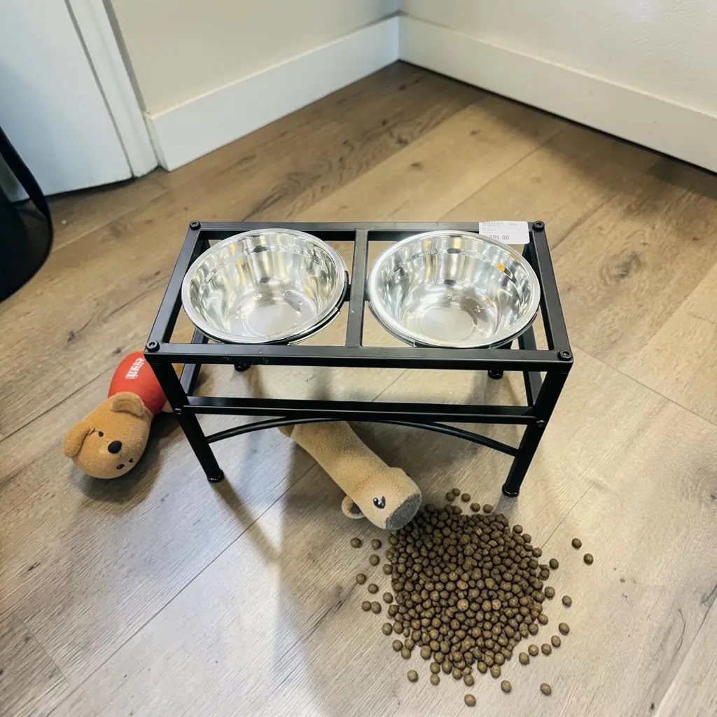 Dog Feeding With Stand