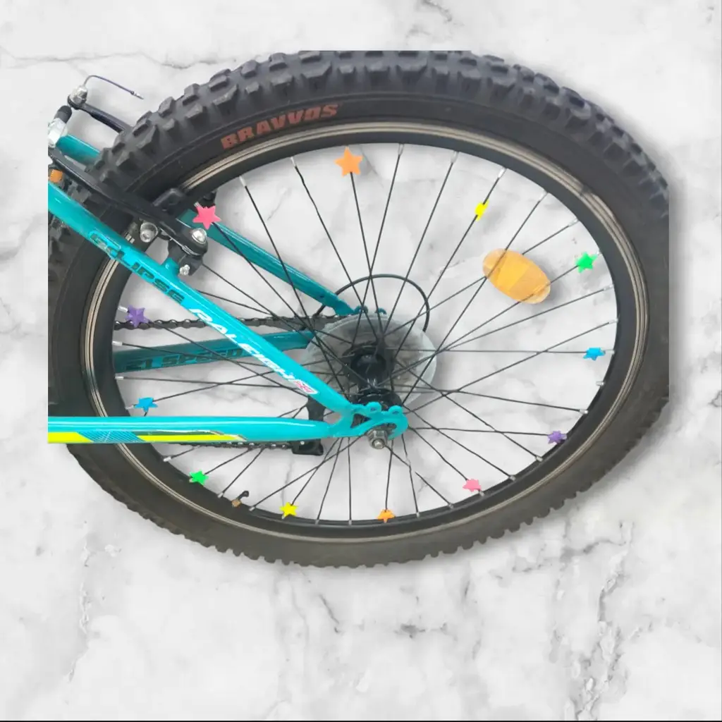 Raleigh R24 - View 2