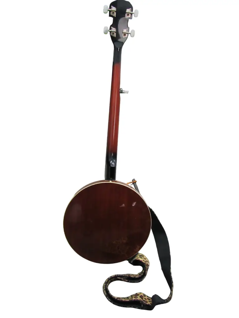 Banjo Asmuse - View 4