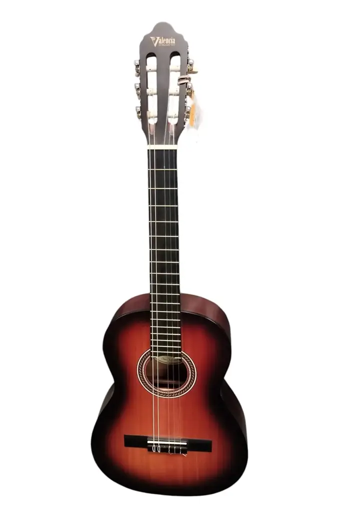 Semi - Acoustic Guitar