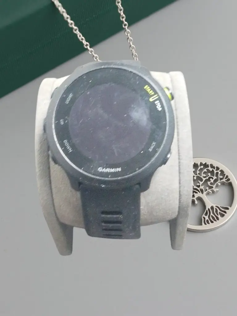Garmin Forerunner 55