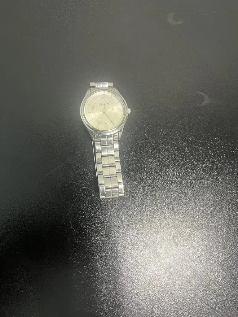 Tempo Silver Plated Tone Dial Bracelet Watch