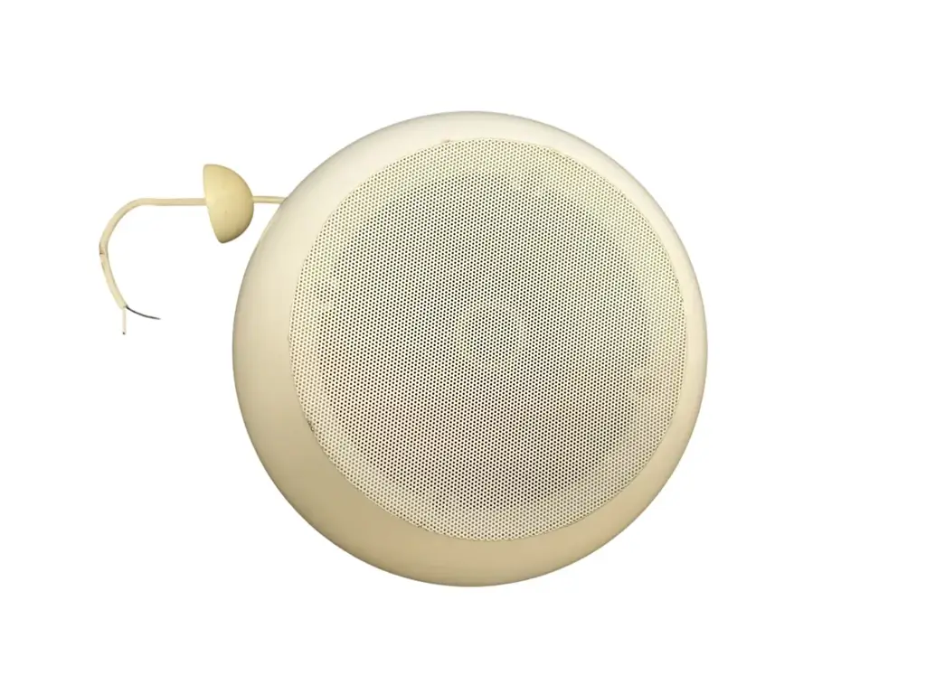 White Stereo Celling Speaker
