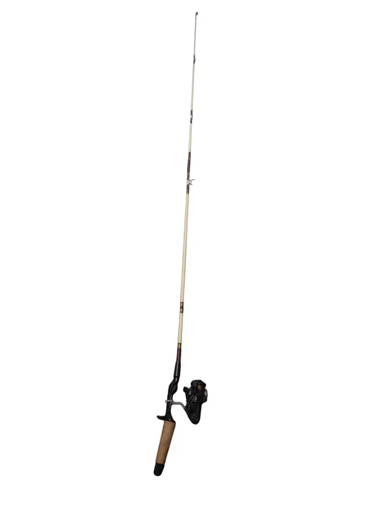 Fishing Rod With Fishing Reel