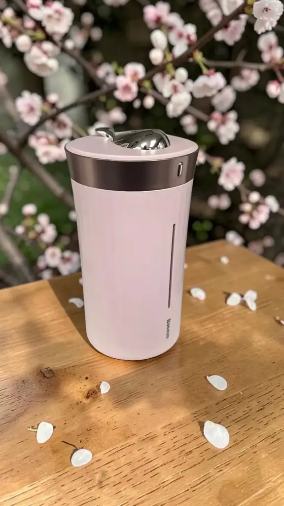 Baseus Whale Car & Home Humidifier