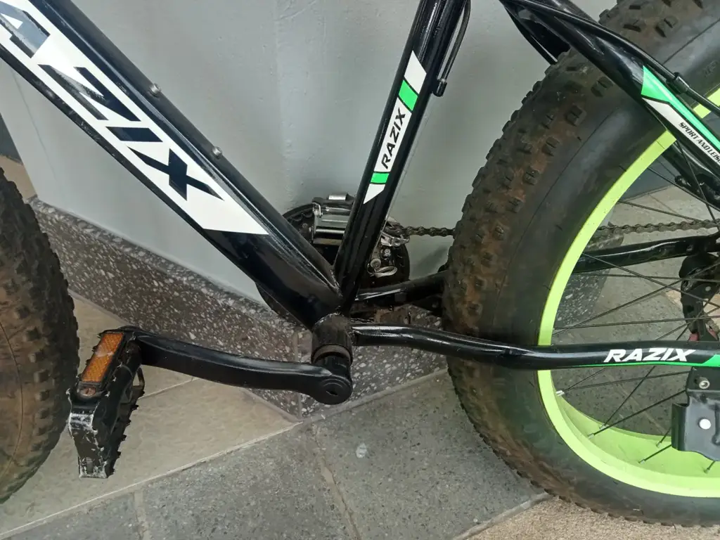 Razik Beach Bike - View 3