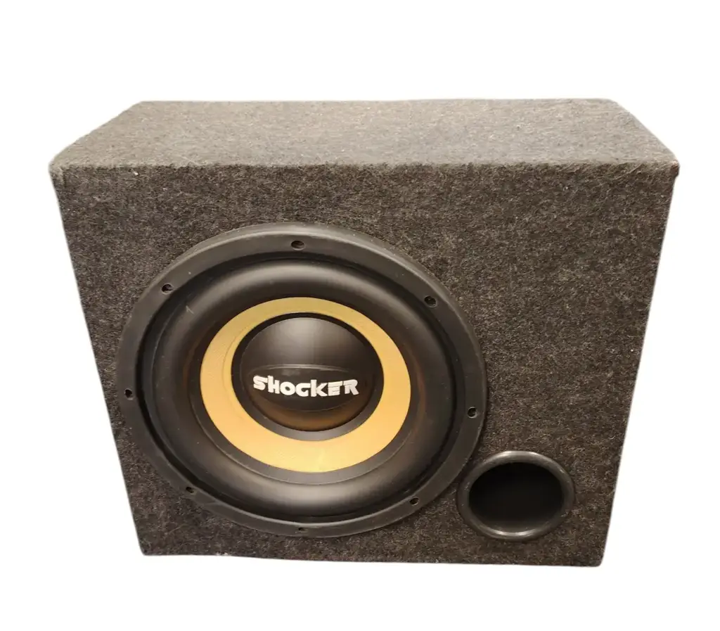 Shocker 10 Inch Car Subwoofer