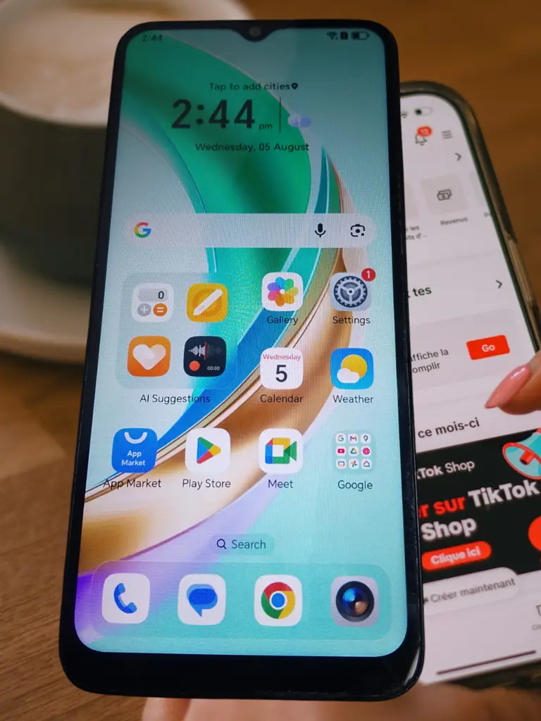Honor X6b