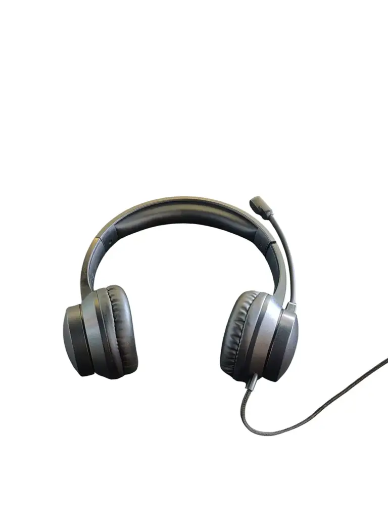 Winx Headset - View 2