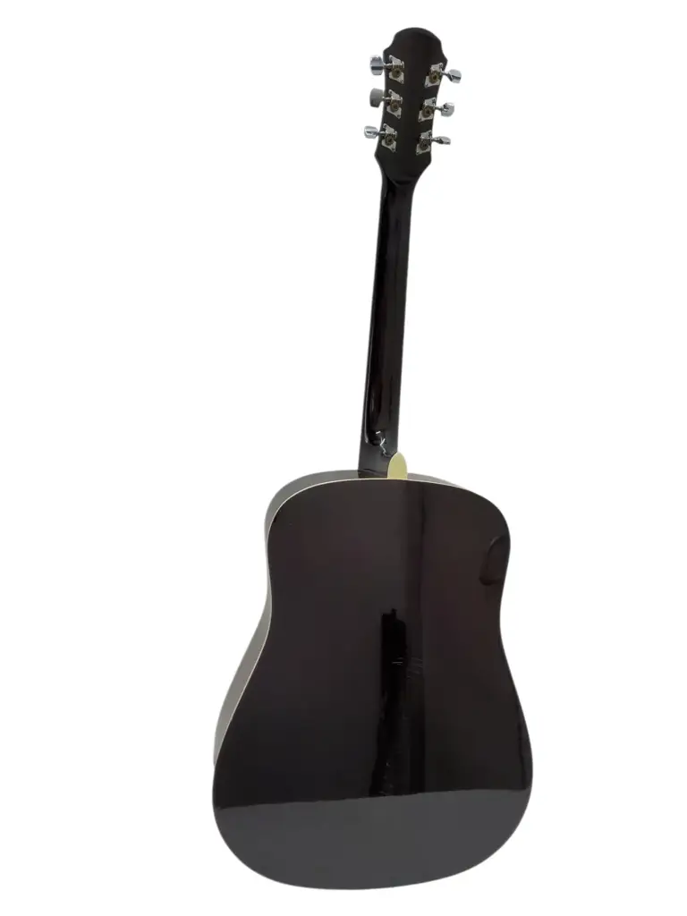Aria Aw-20N Acoustic Guitar With Bag | Beginner Acoustic Guitar - View 2