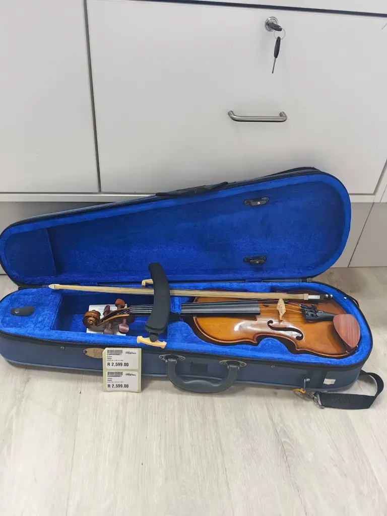 Stentor Rh2 Viola - View 2