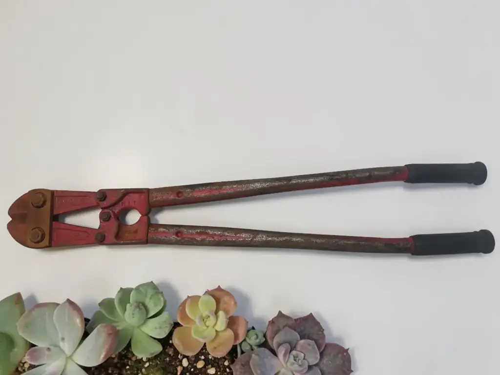 Hit-750 Bolt Cutter 750Mm (30")