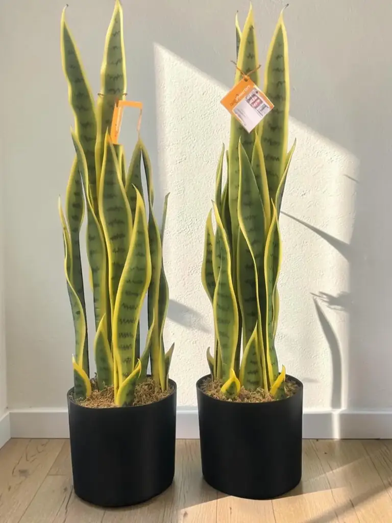 Artifial Sanseviera Snake Plant
