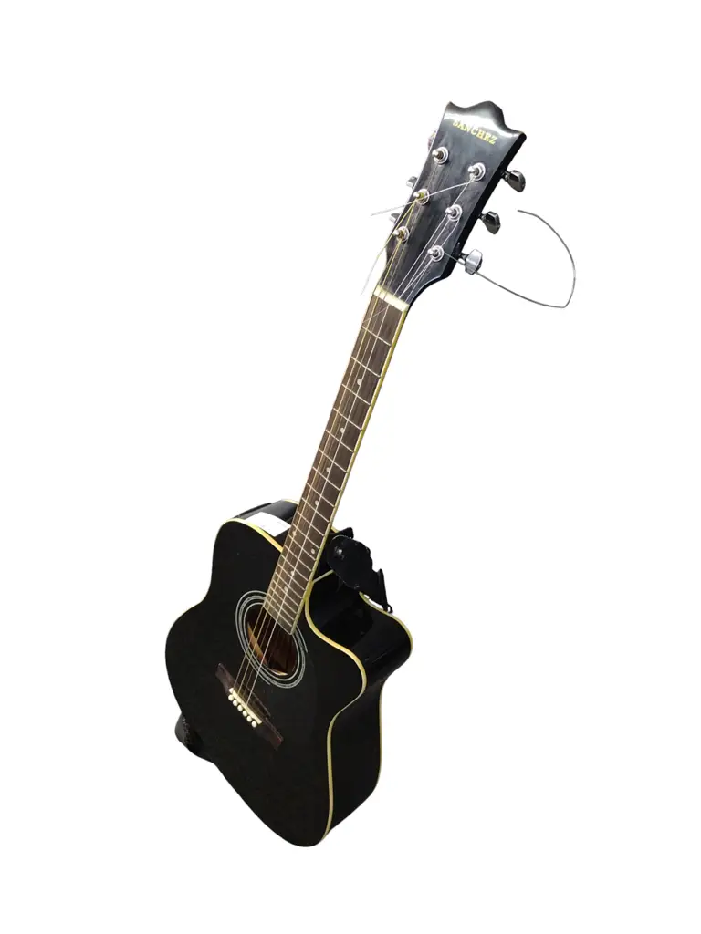 Sanchez Acoustic Guitar - View 3