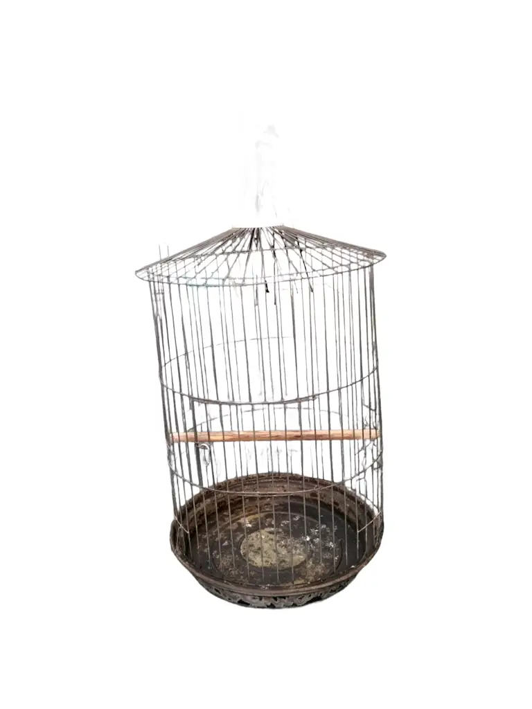 Parrot Cage Round Stainless Steel