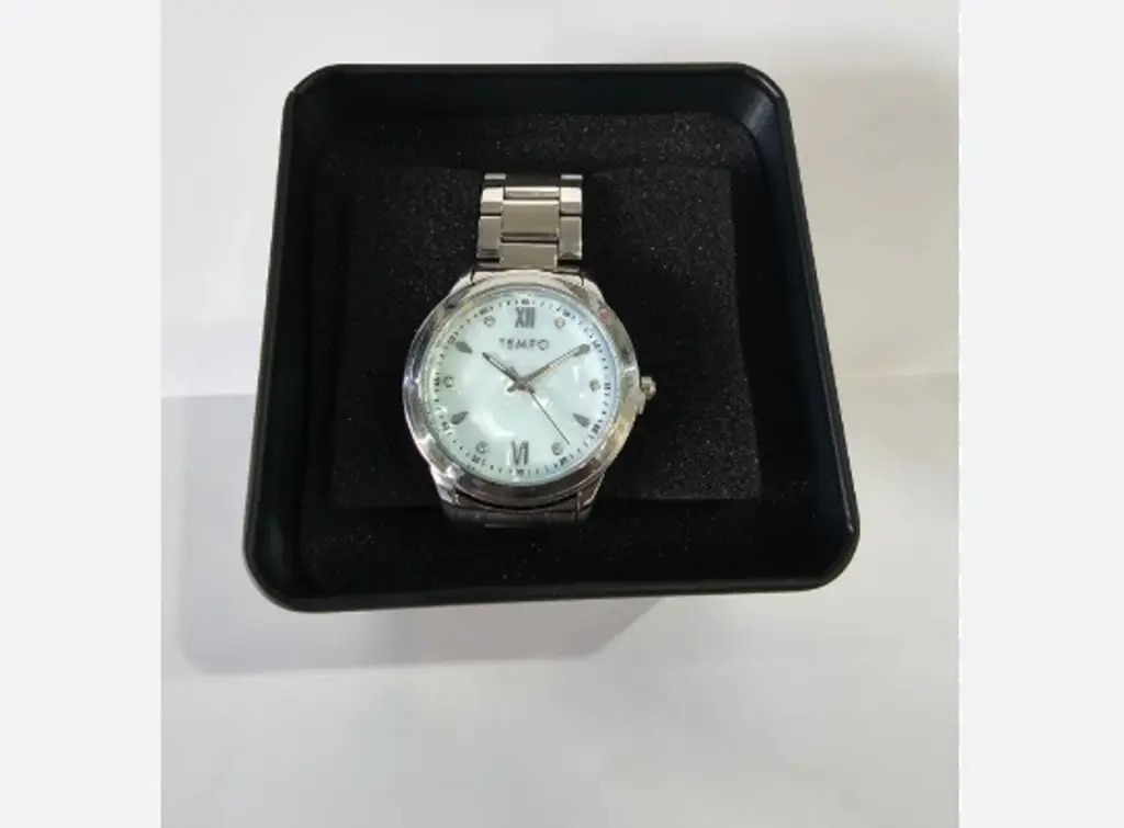 Tempo 2918 Anlogue Watch