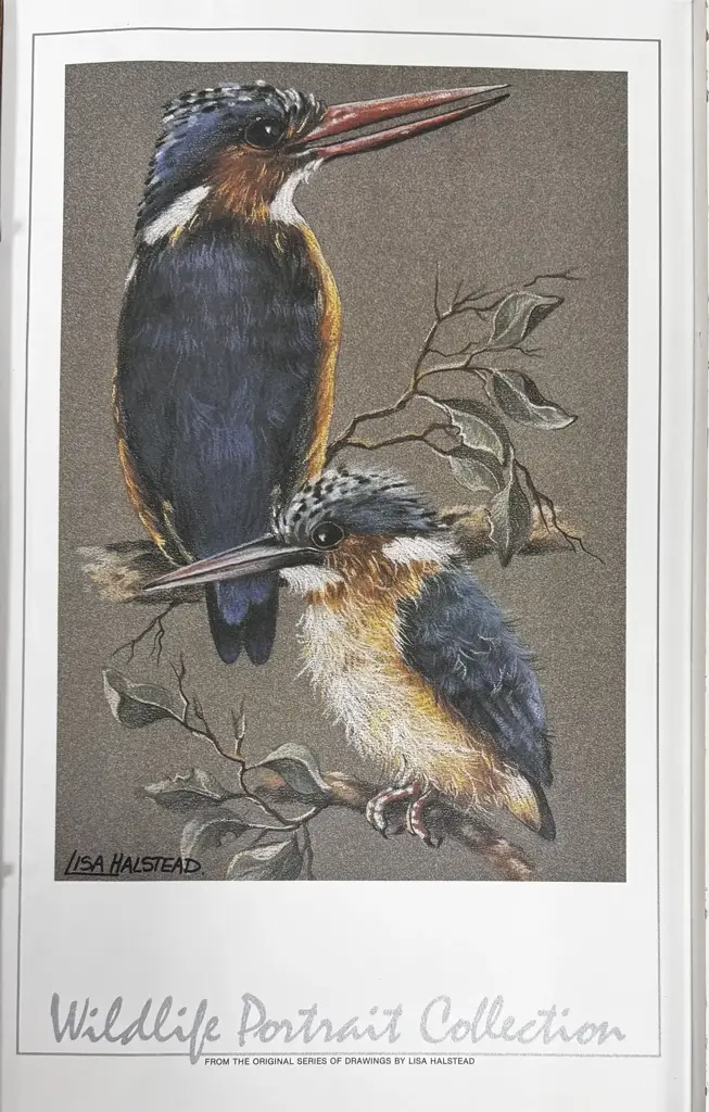 Lisa Halstead Wildlife Portrait Collection Unframed Prints Set Of 10 - View 2