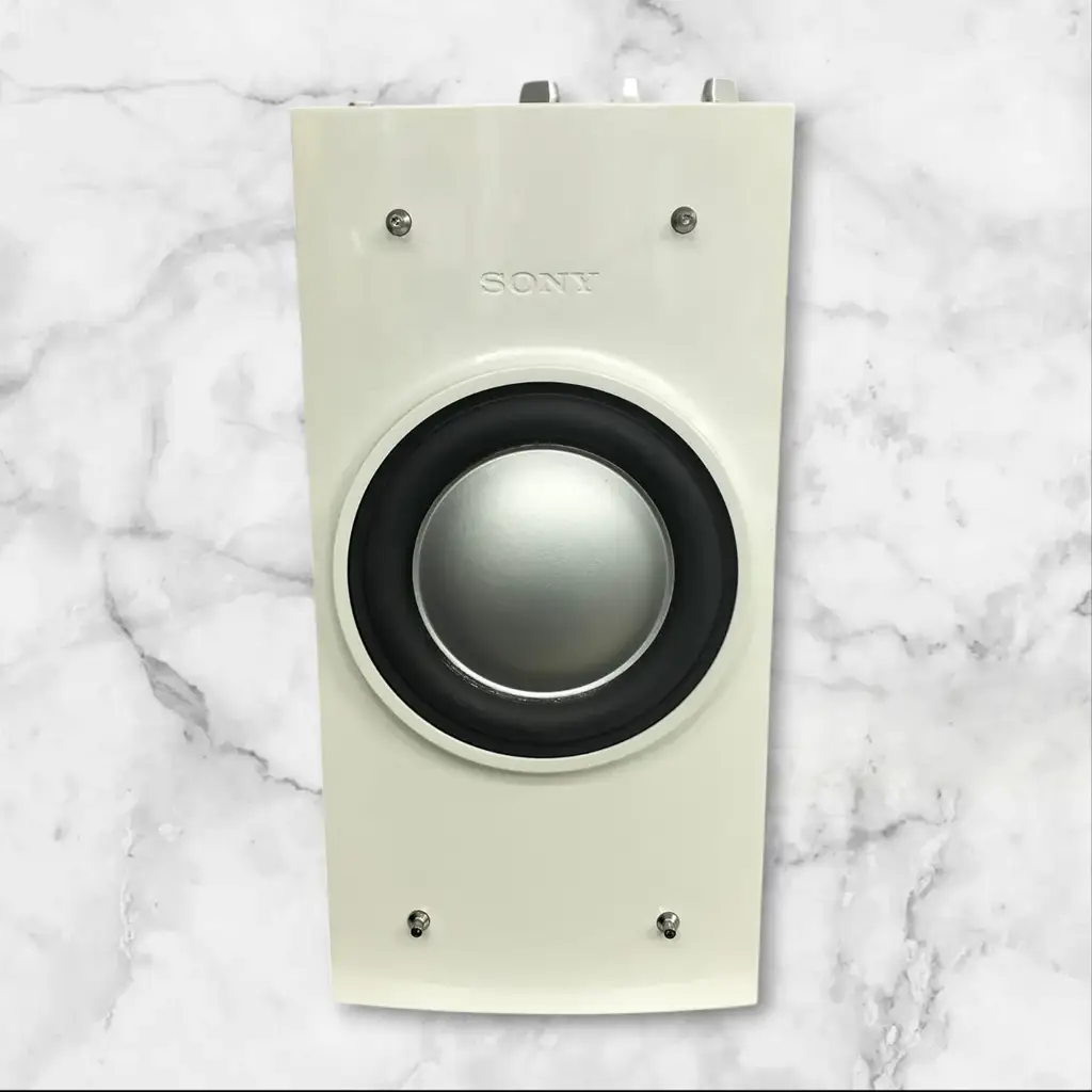 Sony Sa-Wd100 - View 4