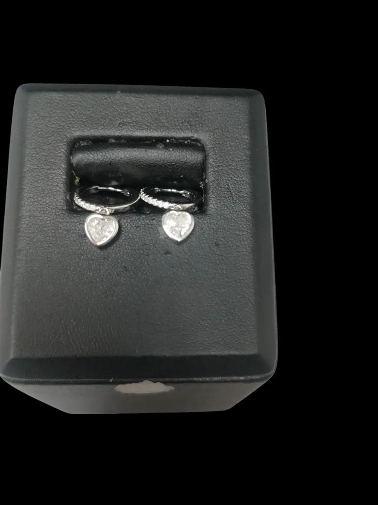 925 Sterling Silver Earings