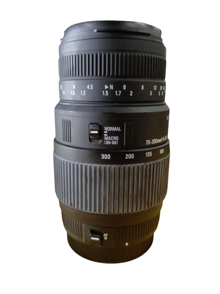 Sigma 70-300Mm F/4-5.6 Dg Macro Telephoto Zoom Lens For Canon Slr Cameras - View 2