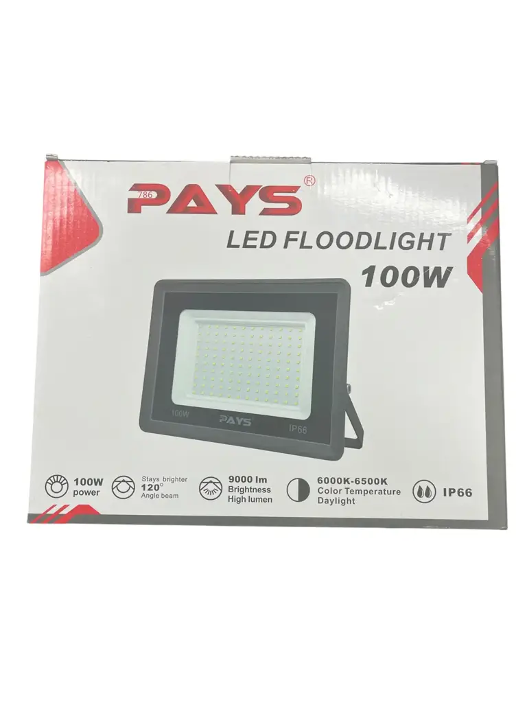 Pays 100W Flood Lamp