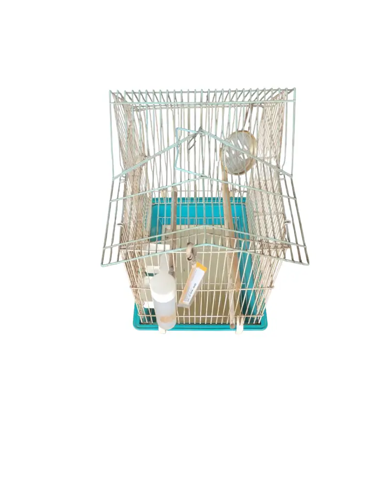 Bird Cage Steel