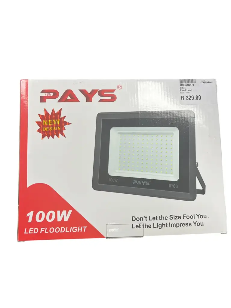 Pays 100W Floodlight