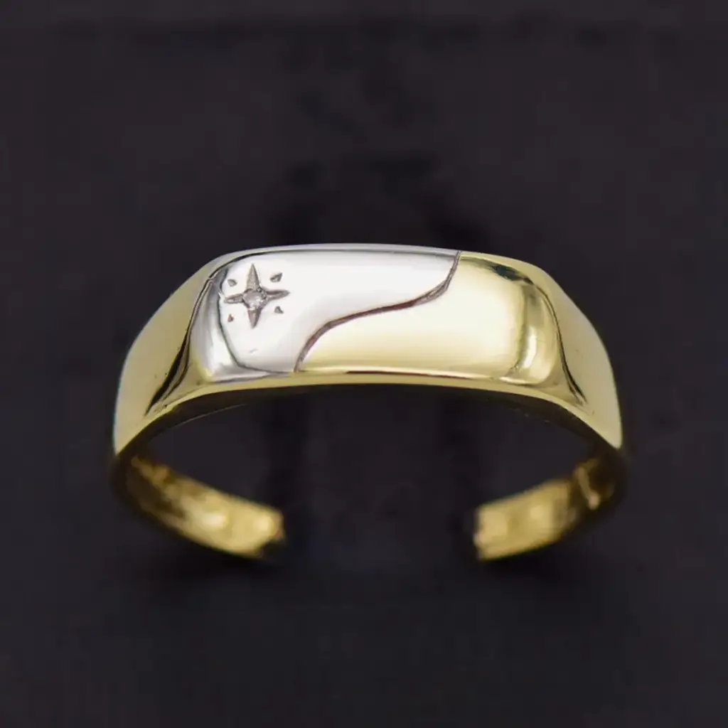 9ct Yellow Gold Men's Ring