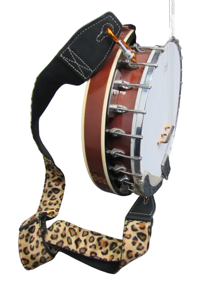 Banjo Asmuse - View 3