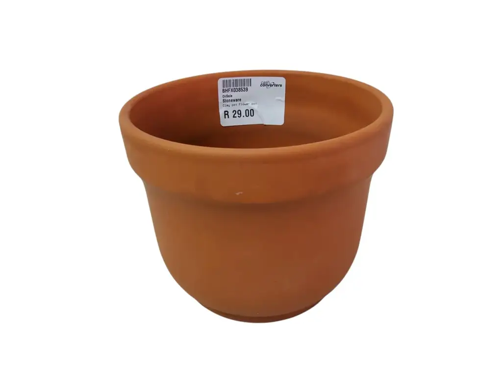 Small Clay Flower Pot