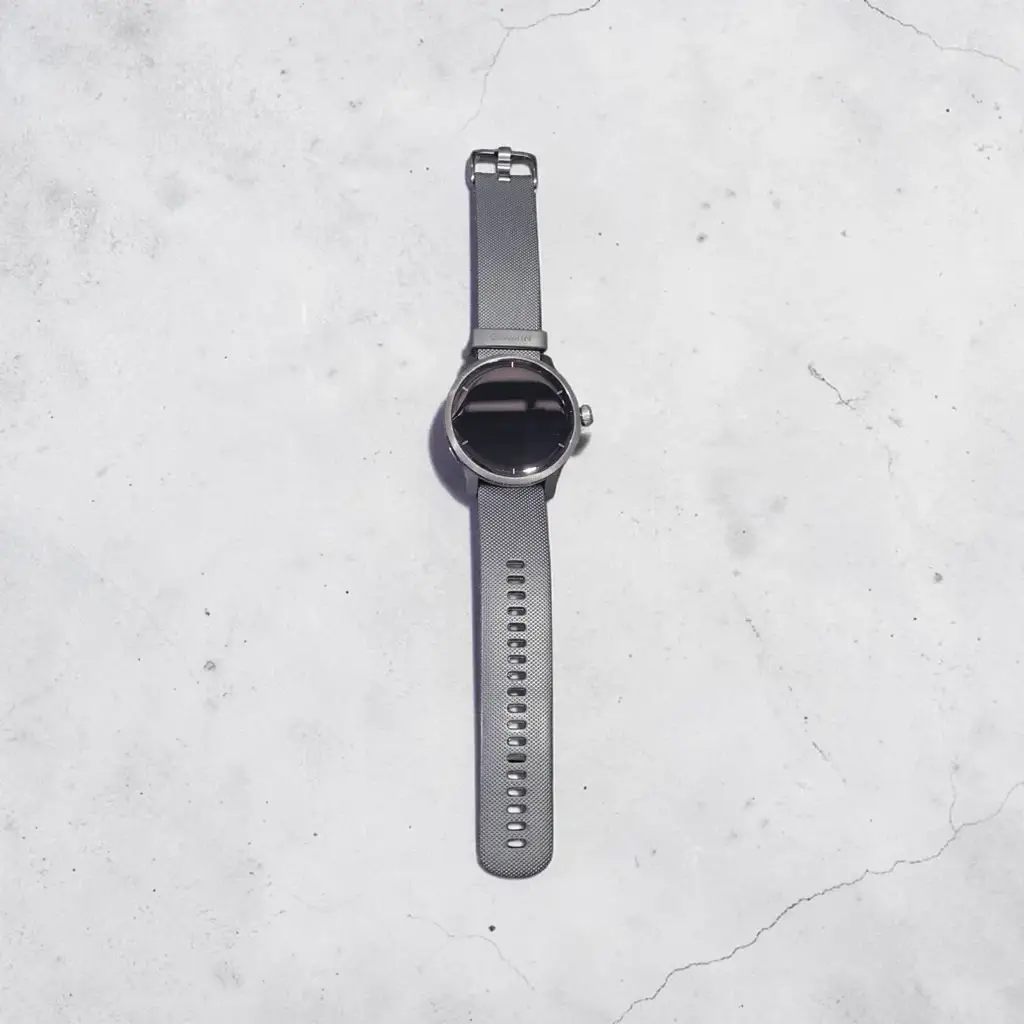 Garmin Venue 2 Men's Smart Watch